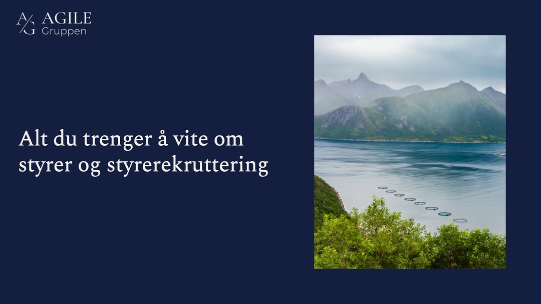 Alt du trenger å vite om styrer og styrerekruttering