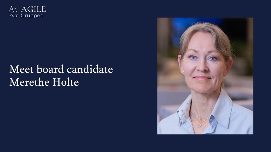 Meet board candidate Merethe Holte