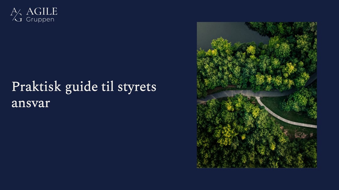 Praktisk guide til styrets ansvar