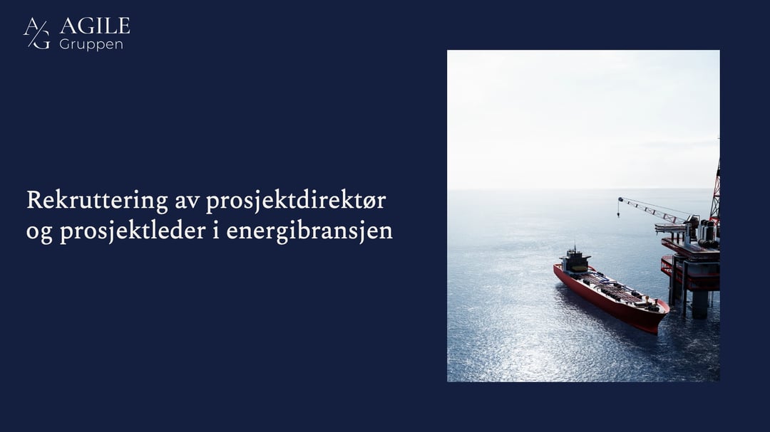 Rekruttering av prosjektdirektør og prosjektleder i energibransjen